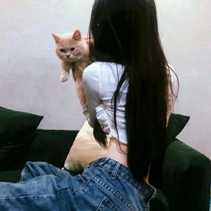 火烧御手洗家 在线观看剧照